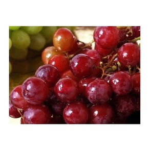 องุ่นไวท์โกลบไร้เมล็ด คุณภาพสูง ออร์แกนิค สดใหม่ เกรด A ราคาถูก - Product Image 5