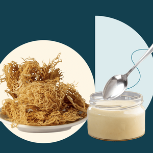 Premium Vietnamese Sea <b>Moss</b> Gel | Pure Irish <b>Moss</b> Drink Gel at Bulk Discount Prices/ Ms. Jessi - Product Image 5