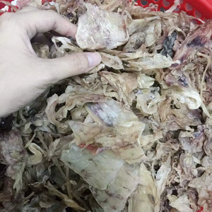 CABEZA DE CALAMAR SECA NATURAL BAJA EN GRASA CON SABOR RICO/ESENCIA DE MARISCOS PUROS/ASEQUIBLE para COMPRAS A GRANEL/HECHO EN VIETNAM - Product Image 1