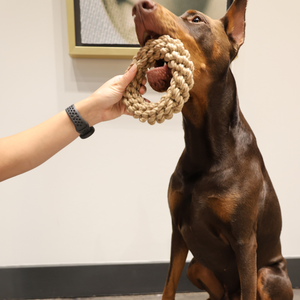 Juguete Ecológico de Cáñamo para Perros, Juguete Ecológico para Perros - Product Image 6