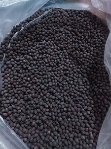 Premium Black <strong>Lotus</strong> <strong>Seeds</strong> | 100% Natural, Sun Dried, Hand Sorted, Direct Factory Price from Vietnam, Export Quality - Product Image 6