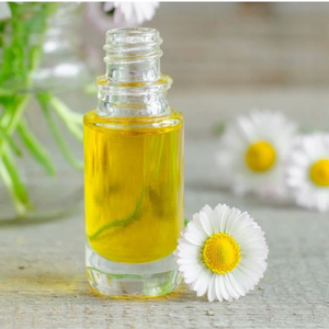 Fabricante y exportador de aceite esencial de manzanilla alemana azul a granel en la India para Círculos oscuros ingrediente de árbol de té - Product Image 1