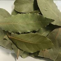 Sachets de thé au corossol biologique biologique sans gluten de International Corp. Soursop pour la perte de poids et le diabète
