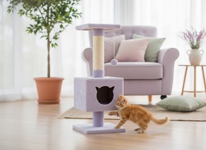 Rascador para gatos Amistar Lavender Cat Lux de alta calidad para todas las razas y tamaños de gatos y gatitos. - Product Image 2