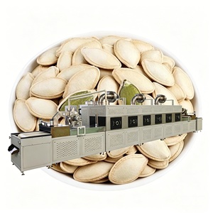 Máquina <span class=keywords><strong>de</strong></span> Esterilización Continua por <span class=keywords><strong>Microondas</strong></span> para Semillas <span class=keywords><strong>de</strong></span> Calabaza, Dispositivo Especial para Esterilizar Frutos Secos - Product Image 1