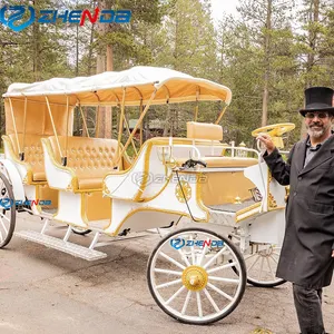 2024 Caleches Wedding Electric Sightseeing Tourist Horse Carts Wagon Carriage