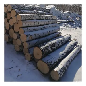 उच्च गुणवत्ता सन्टी roundwood, व्यास 16 cm सन्टी लॉग लकड़ी दौर प्रवेश से निर्माण के लिए फैक्टरी मूल्य
