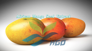 HGO Fournisseur direct d'extrait de graines de mangue africaine (protéine flavone) de qualité alimentaire, protéine 5% 7%-25%, flavone 10% standardisé - Product Image 2