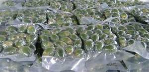 ถั่วอาเนก้าแช่แข็งบริสุทธิ์จากฟาร์มที่เลือก/เป็นมิตรกับมังสวิรัติ/ไม่มีสารเติมแต่ง/วิธีการแช่แข็งที่อ่อนโยน - Product Image 6