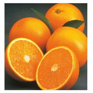 Cítricos Frescos Orgánicos |   Naranjas Navales, Limones, Naranjas de Valencia - Product Image 6