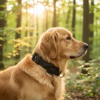 Collier tactique robuste pour chien avec boucle à dégagement rapide, doublure en néoprène, patchs personnalisables, anneau en D en acier inoxydable pour toutes les races