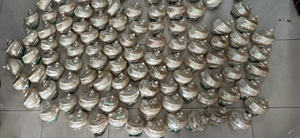 Coquillages à lipettes multiples Coquillages de mer naturels Style glacé - Product Image 3