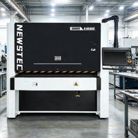 Machine métallique entièrement automatique à haute efficacité pour l'ébavurage, le chanfreinage, le polissage et l'élimination de la rouille et de l'oxyde, pour la découpe laser et le marquage.