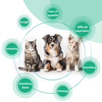 OEM Traitement de la toux Infection naturelle pour chiens chats Soulagement de la toux froide respiratoire Collapse Trachea Cat Asthma Support
