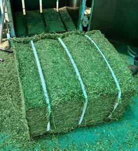 Heno de Alfalfa estándar Premium para alimentación Animal, heno de Alfalfa para alimentación Animal - Product Image 2