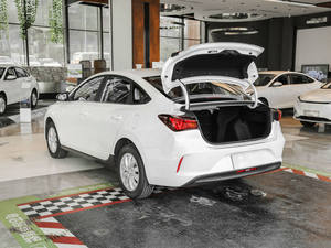 Auto Eléctrico Usado 2025, EV Super Sport EV46, con Autonomía de 201-300 km y Batería de 50-70 kWh - Product Image 3