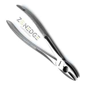 Fórceps de extracción de dientes de alta venta Mejor precio Fórceps de extracción de dientes resistentes Acero inoxidable de calidad superior - Product Image 2