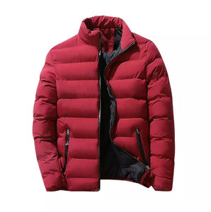 Chaqueta de Plumón Ligera para Hombre, Invierno, Cuello Alto, Personalizada, para Exteriores, BY HI 2026 - Product Image 2