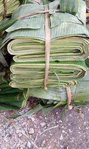 การห่อใบกล้วยสำหรับใบกล้วยสีเขียวสดส่งออกจากเวียดนาม - Product Image 2