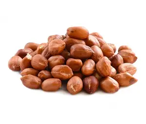 Kacang kualitas terbaik untuk dijual/Tersedia Kacang/Kacang darat/Kacang jual panas tersedia dengan harga grosir