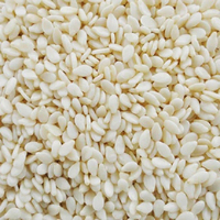 Graines de sésame blanches grillées biologiques naturelles, meilleure qualité, durée de conservation de 24 mois, stockage à sec, usage alimentaire, origine USA, agriculture
