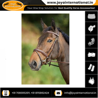 Rênes de bride pour chevaux les plus vendues, vente en gros de rênes doubles pour chevaux pour événements équestres, pliables
