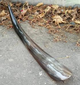 Highly Polished Eco-Friendly Buffalo Horn 12 Inch <b>Shoe</b> Horn with Leather Hanging-Customizable Size Best Manufacturer - Product Image 3