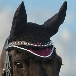 ชุดแผ่นรองอานม้าม้าสีแดงปรับแต่งได้เครื่องมือดูแลม้าที่สะดวกสบายพร้อมผ้าซับในอุปกรณ์ขี่ม้า - Product Image 4