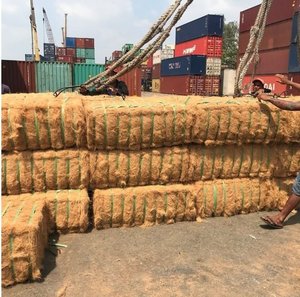 100% Modèle brut de fibre de coco brune biodégradable organique Source agricole durable du Vietnam - Product Image 5