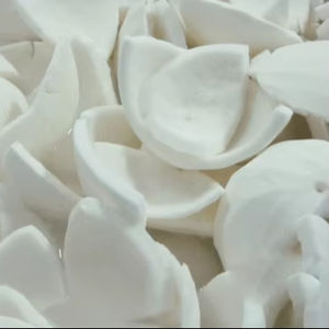 เนื้อมะพร้าวแช่แข็งทั้งหมดสำหรับการส่งออกผลิตจากเวียดนาม - Product Image 2