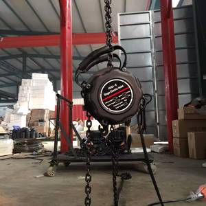 Kafes için taşınabilir 500kg 1000kg 2000kg 220V 380V elektrikli zincir sahne kaldırma - Product Image 5