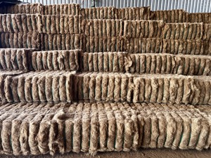 Eco2go Le modèle brut en fibre de coco naturelle et durable du Vietnam, marron naturel, décorations de 25cm, prix abordable pour l'acheteur - Product Image 6