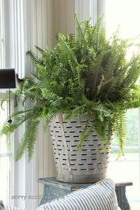 Pot de stockage en métal galvanisé Antique, forme ronde, Pot en Aluminium plastique fleur verte - Product Image 3