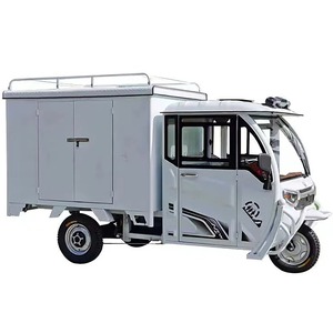Tricycle électrique de fret fermé à trois roues, véhicule de livraison léger, utilisation commerciale, 60V - Product Image 1