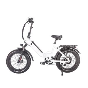 NEW AlwayBike Powerful Ebike Folding Electric Bike 750W 48V 20-Inch - Product Image 1
