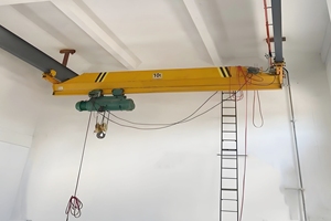 Treo cầu trục dầm đơn dưới cần cẩu trên 5 tấn - Product Image 2