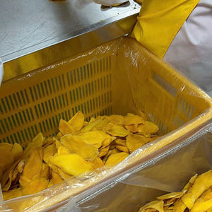 เวียดนามขนมมะม่วงอบแห้งแบบนิ่มฉลากสะอาดสม่ำเสมอเหมาะสำหรับตลาดส่งออกและตลาดอาหาร - Product Image 1