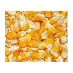 Alimento de maíz seco de Venta caliente precio competitivo personalizable crea tu idea - Product Image 1