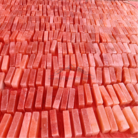 Briques de sel rose de l'Himalaya en vrac, denses, 2x4x8 pouces, certifiées ISO, tailles personnalisables, style Feng Shui, sculptées, qualité supérieure, 100% naturelles