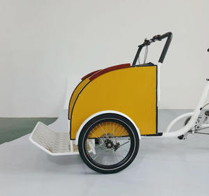 Vélo <span class=keywords><strong>cargo</strong></span> électrique  Tour touristique en ville  Vélo électrique à double moteur - Product Image 3