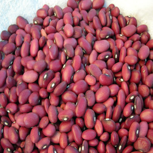 Wholesale Supplier Red Kidney <b>Beans</b> Bulk 100% Natural High Protein Brazilian 50kg At Reasonable Price For Sale - Product Image 1