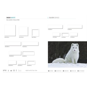 Grey Color Silver Series Subway Ceramic Color Wall Tiles 150x150 75x300 75x200 108x108 200x200 100x400 100x300 100x200 mm - Product Image 6