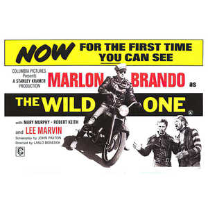 Diseño de póster Wild One - Product Image 1