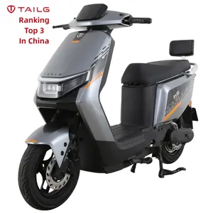 TAILG Time-limited Long Range 51Km/h 100cc E Moped Sports 1500W Electric Motorcycles Scooters For Men