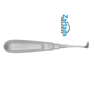 EXPORTATEURS et fabricant de RACINES en acier inoxydable de haute qualité SELDIN fig 1R - Product Image 2