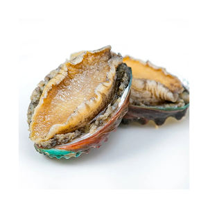 Approvisionnement en gros d'ormeaux frais de mer, livrés avec une qualité supérieure et un soin de qualité. - Product Image 4