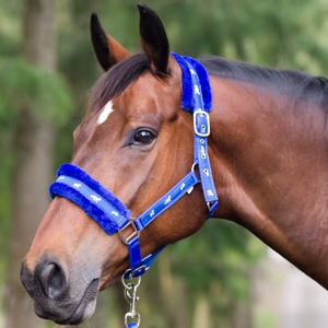 Cheval fourrure cheval licou avec cheval bande Durable licou matériel chromé meilleur prix de gros - Product Image 1