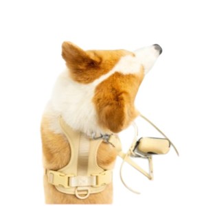 Arnés Ajustable de Nailon para Perros Medianos con Cierre de Hebilla en Color Beige - Product Image 4