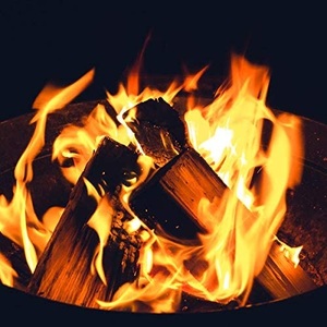 Kiln dried firewood / Beech oak ash birch firewood 25cm and 33cm - Product Image 6
