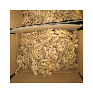 Gingembre frais de qualité avec une texture ferme et un arôme épicé naturel longue durée de conservation offert dans un emballage personnalisé pour les entreprises d'exportation - Product Image 1